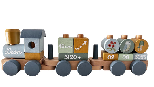 Tren de nacimiento Forest Friends