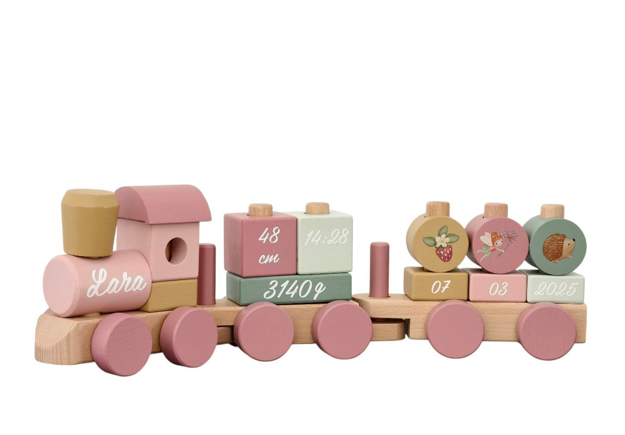 Tren de naciemiento Fairy garden