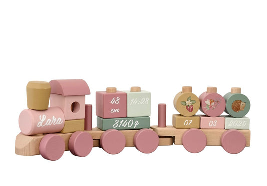 Tren de naciemiento Fairy garden